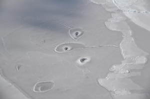 Arctic Ice - thinning and rippling
