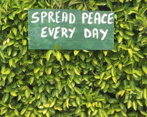 Peace sign on hedge