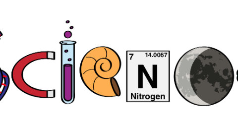 Science Fair